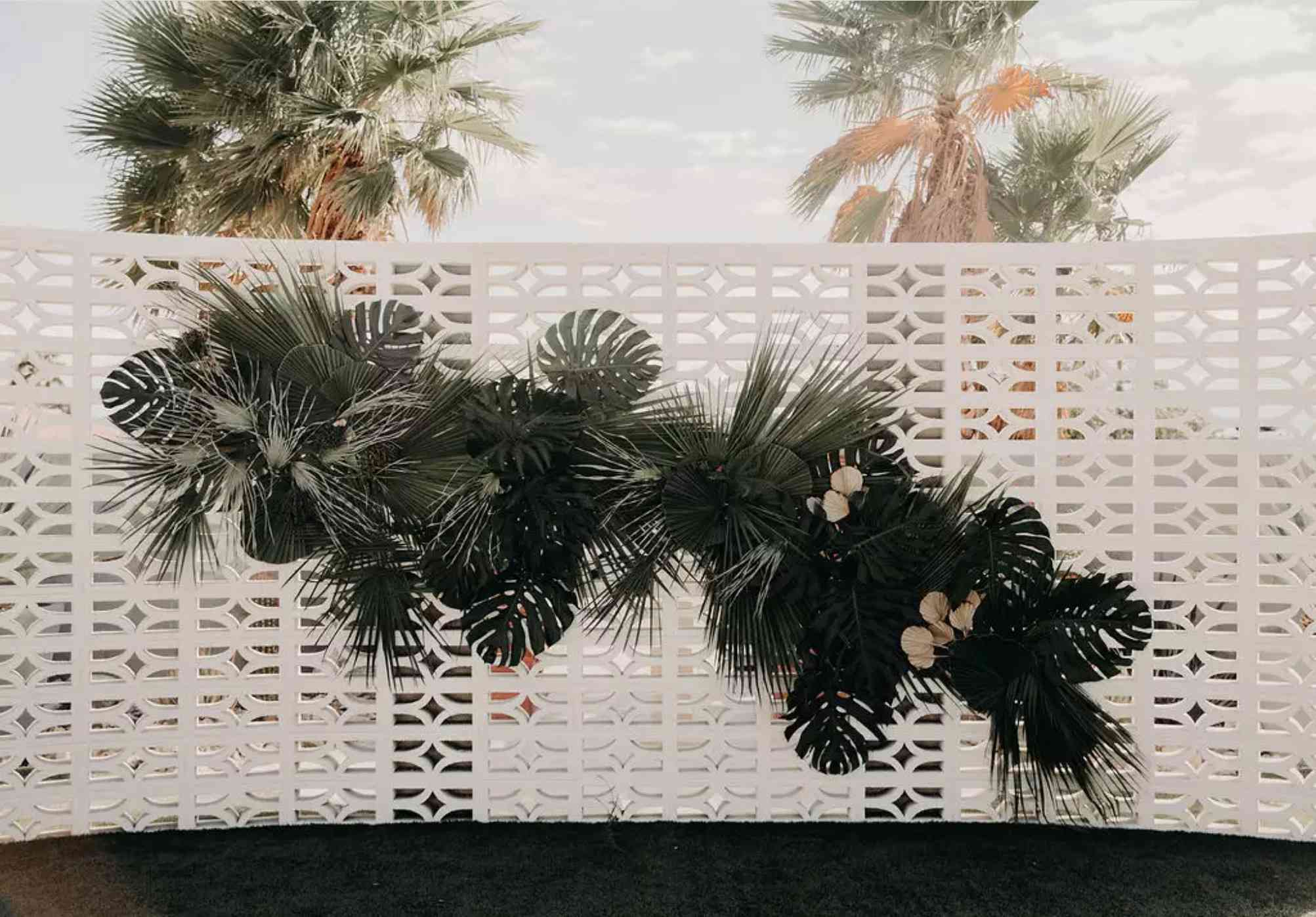 Monstera Palm Nuptial仪式背景