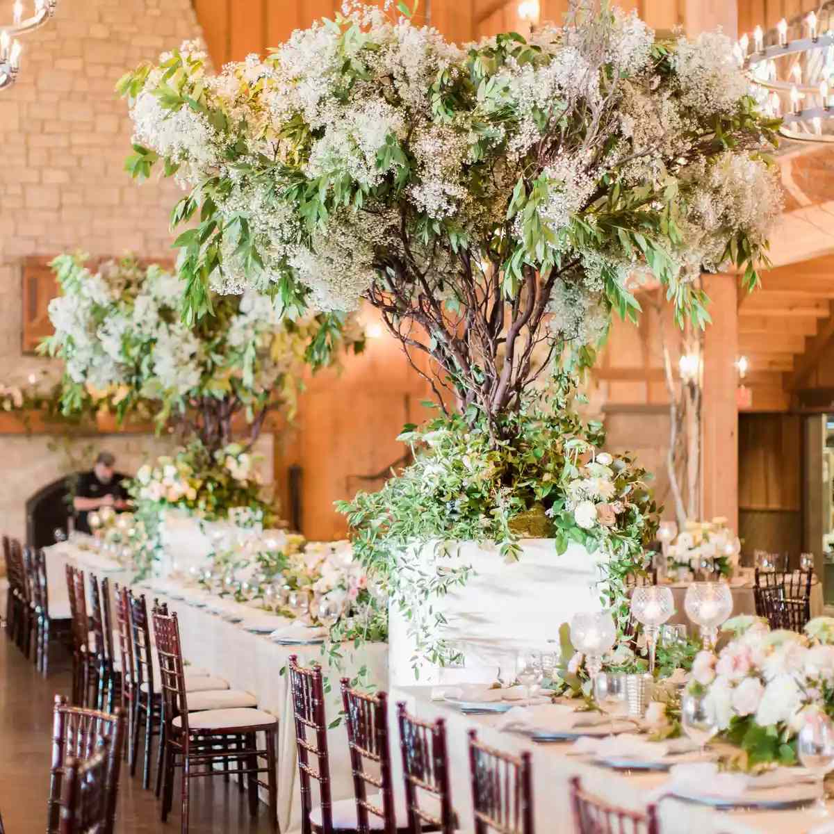 白色和绿枝核心