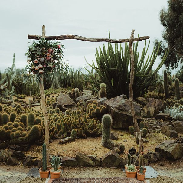 沙漠风格的婚礼拱门