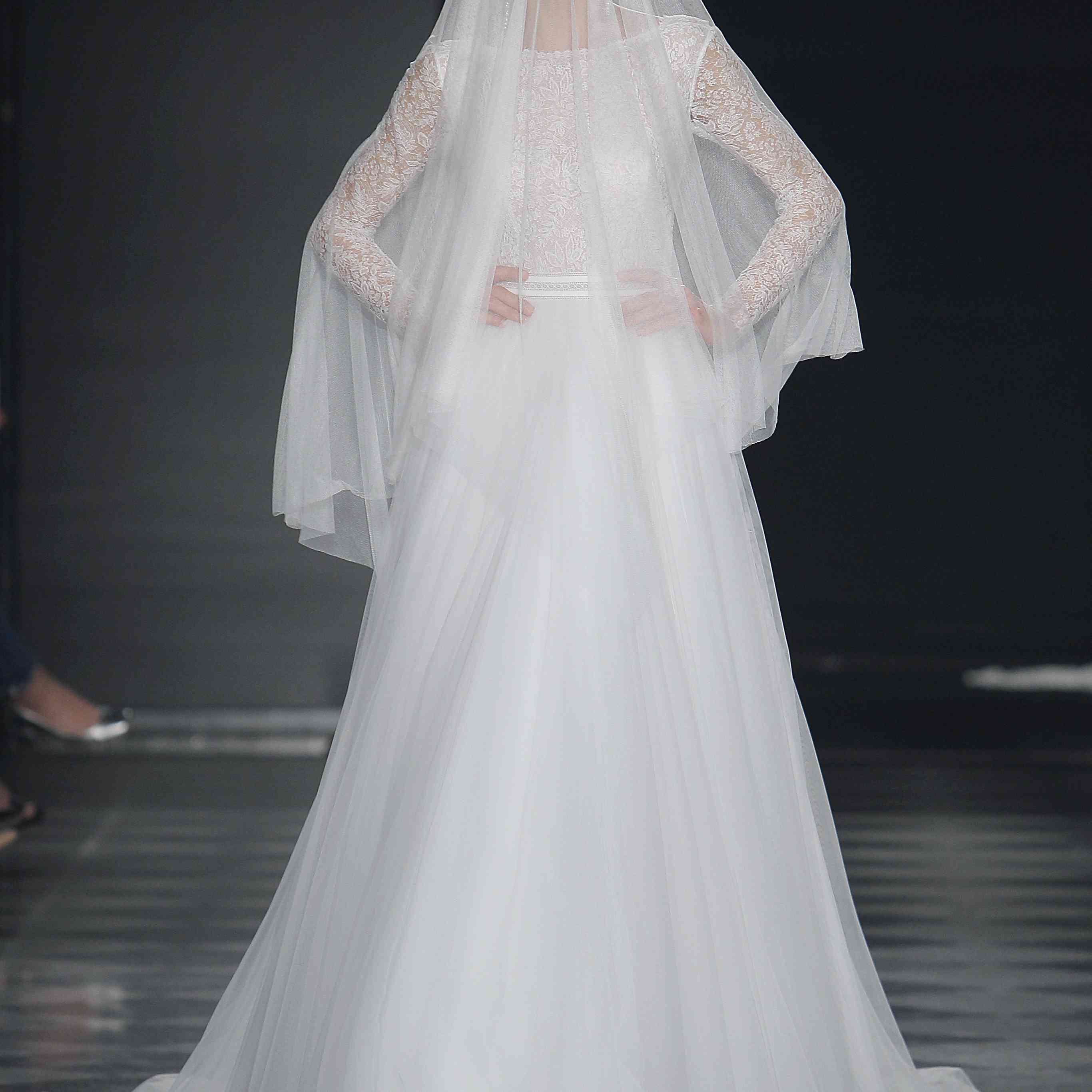 罗莎·克拉拉模型