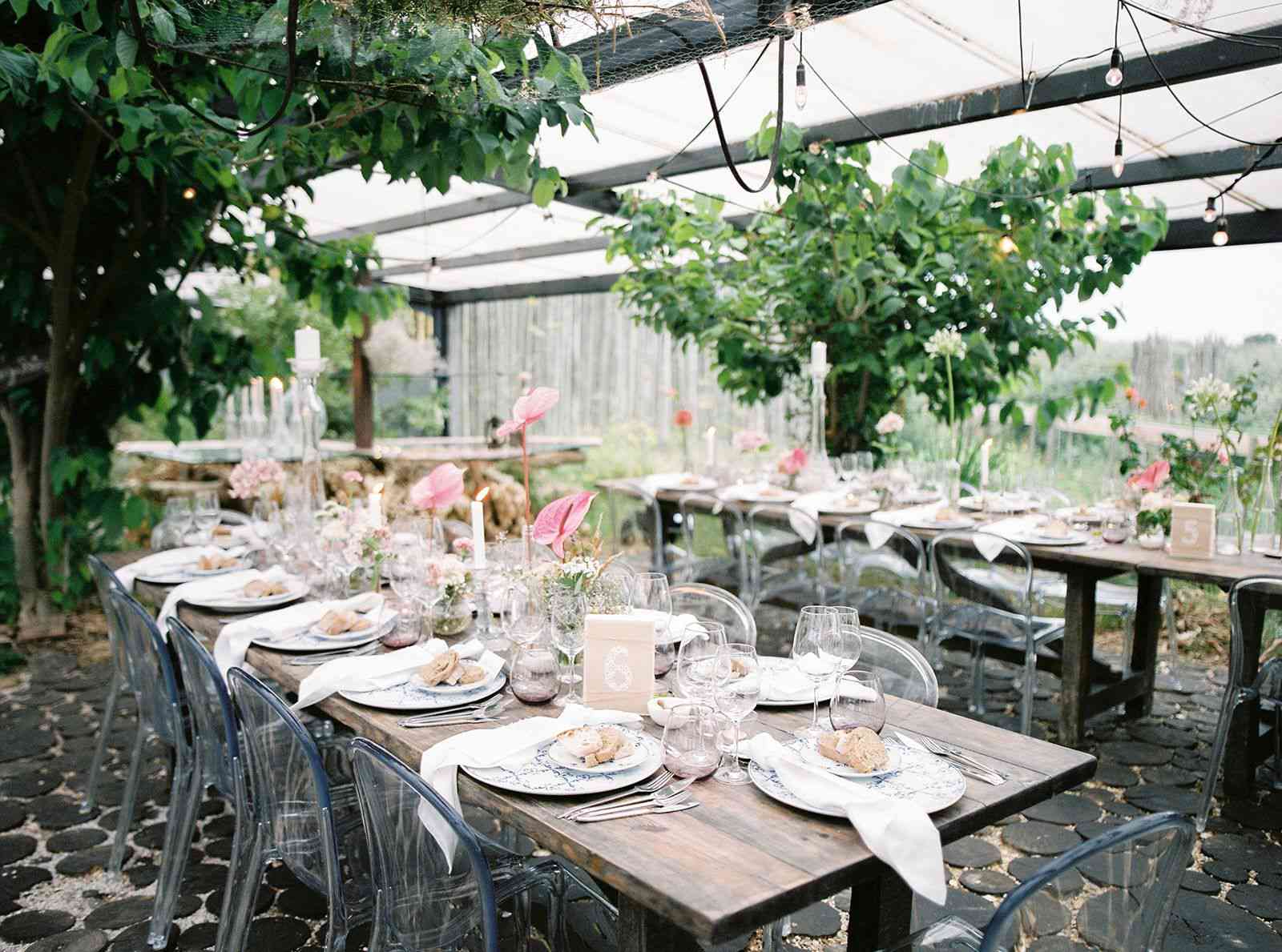 悬挂在小型接待台上的绿色植物