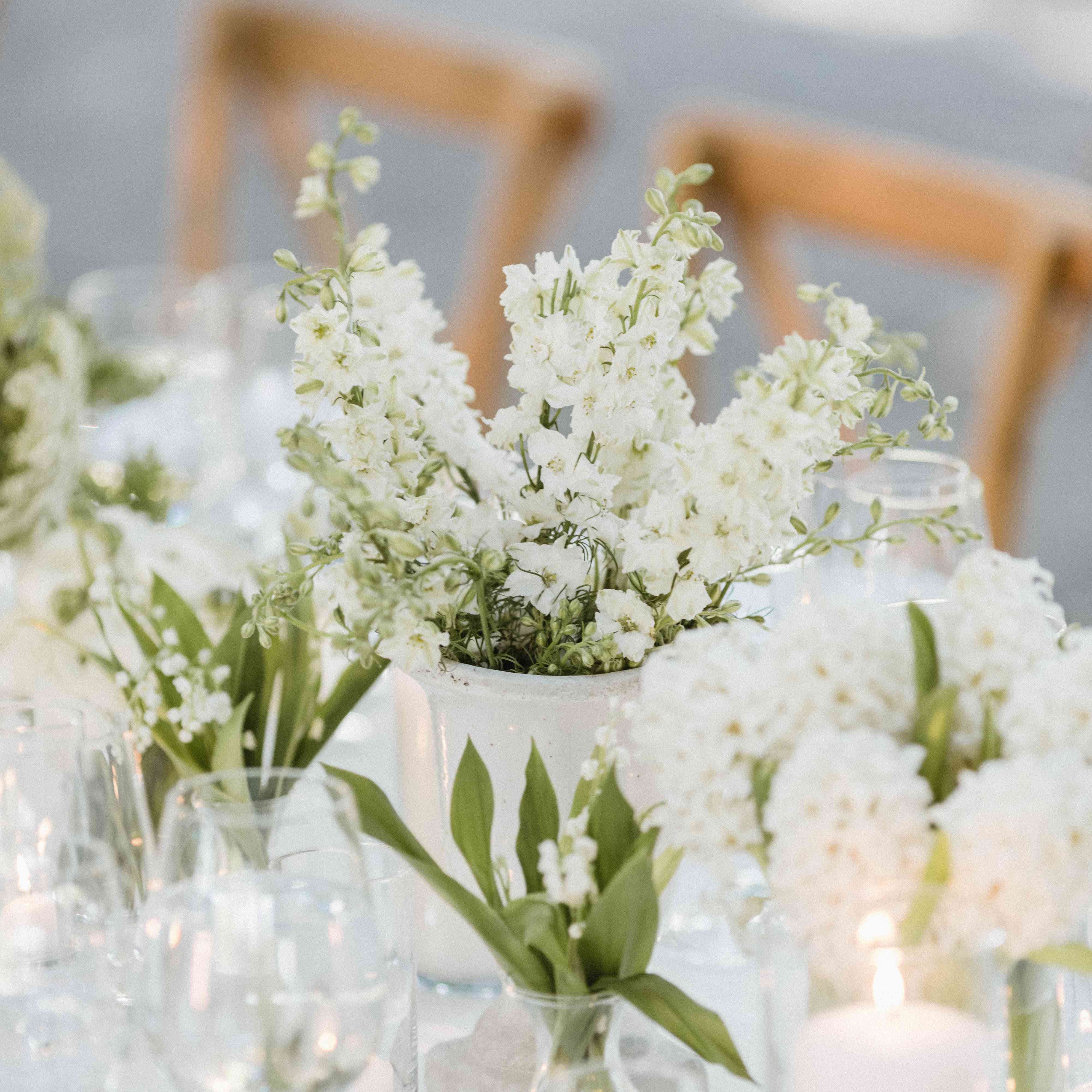 白色花卉中心与铃兰