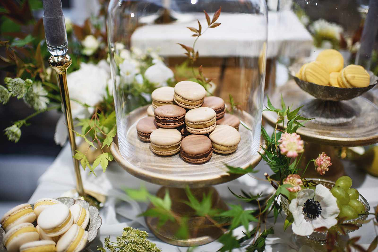 在玻璃穹顶马卡