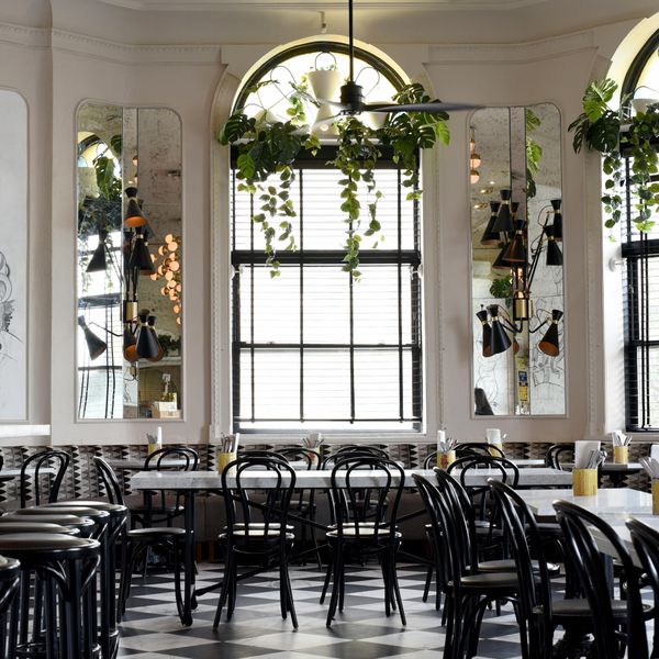 餐厅，哈得逊，悬挂花草，绿化，座椅，酒吧，自然光，简酒店“class=