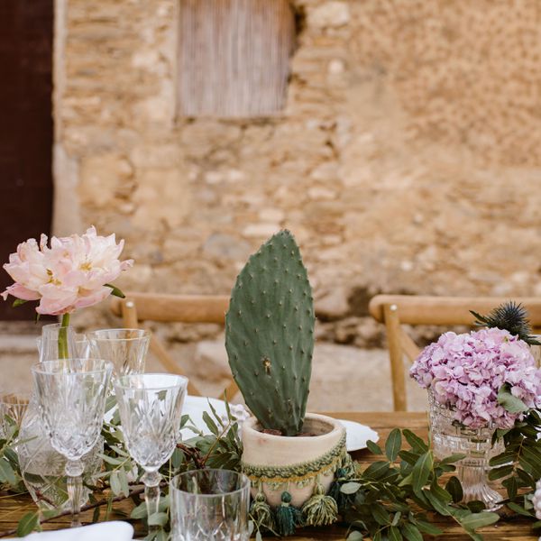 简单的仙人掌核心