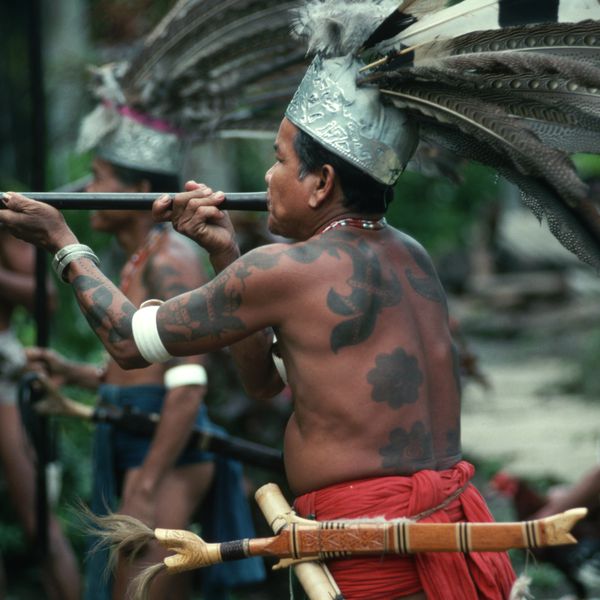 吹嘘的IBAR战士实践