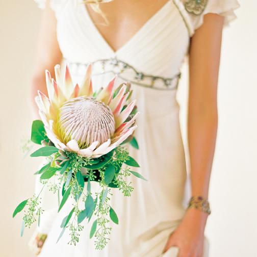 <P>景普罗蒂亚单茎花束</ P>