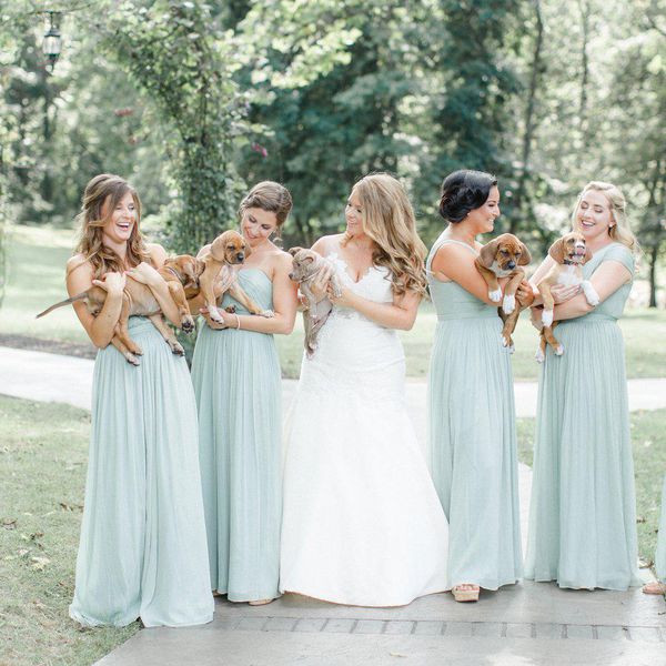 < / p > < p >伴娘抱着小狗