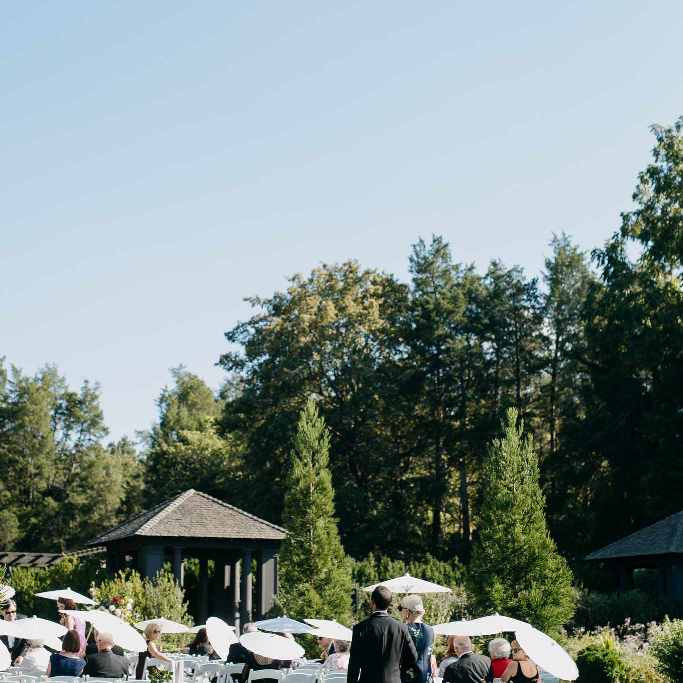 仪式婚礼的客人