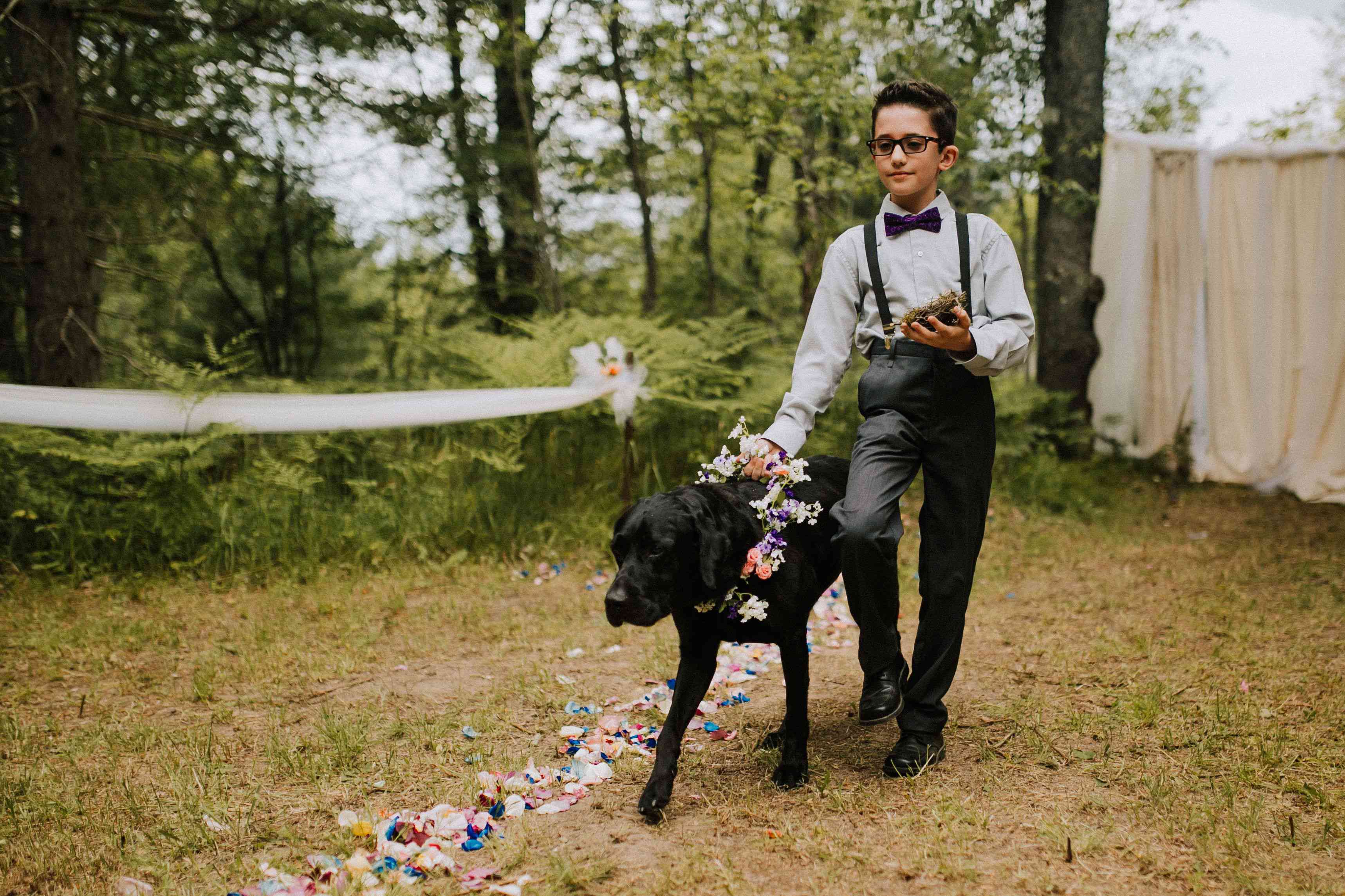 穿着花的一只黑狗被男孩陪同