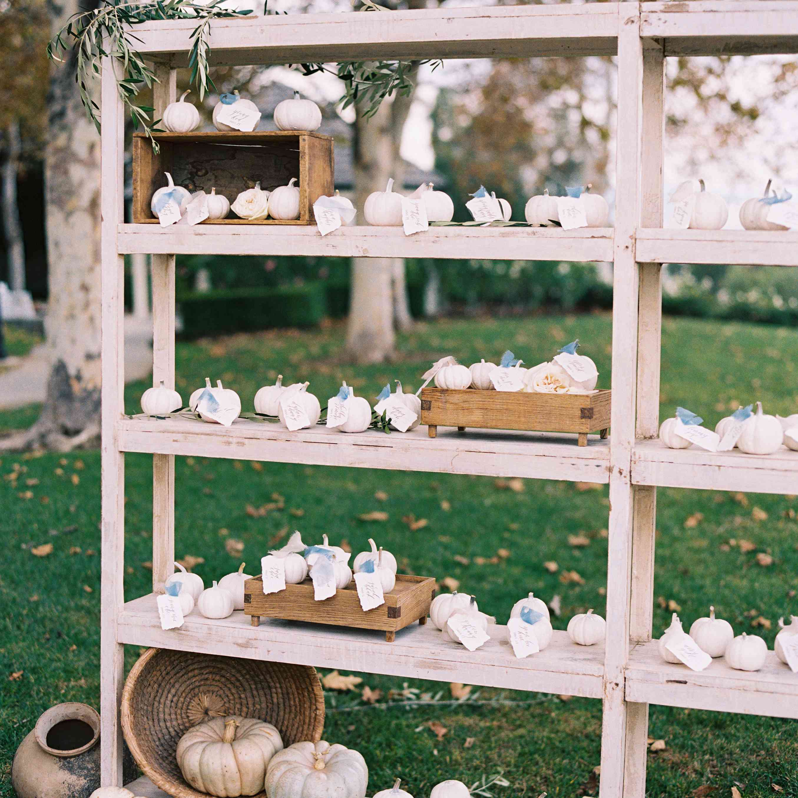 < / p > < p >南瓜的架子上