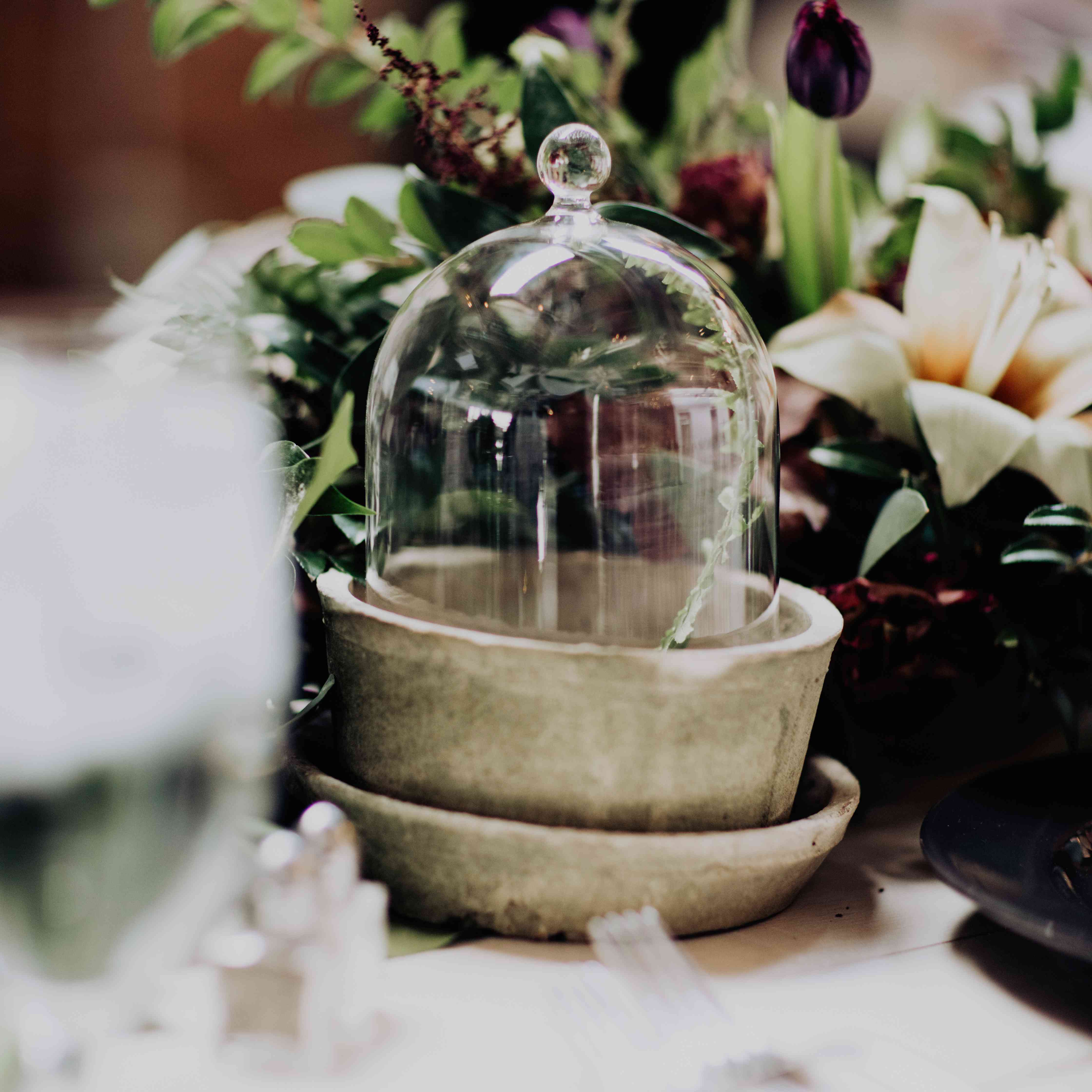 <p> cloche </ p> <br> <br>