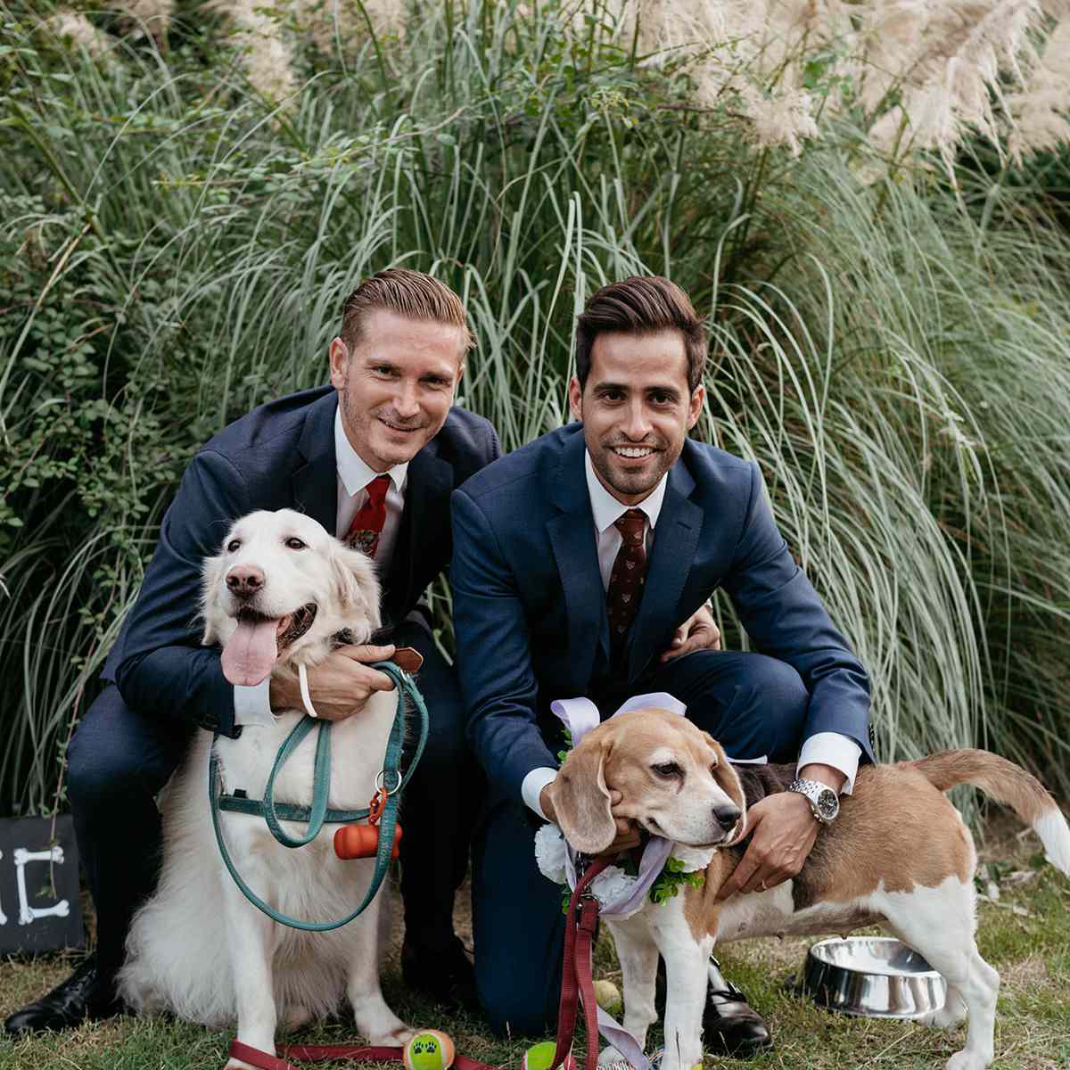 别忘了你的宠物