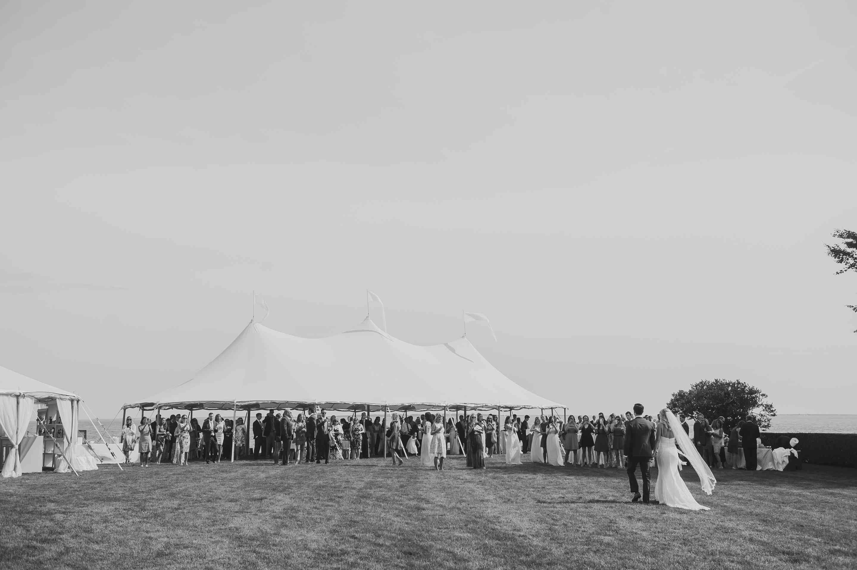 广角看一篷篷。