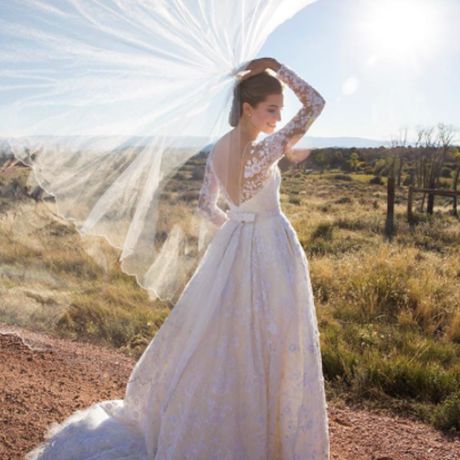 女明星阿利森·威廉姆斯结婚里基·凡·韦恩在奥斯卡·德拉伦塔，2015年