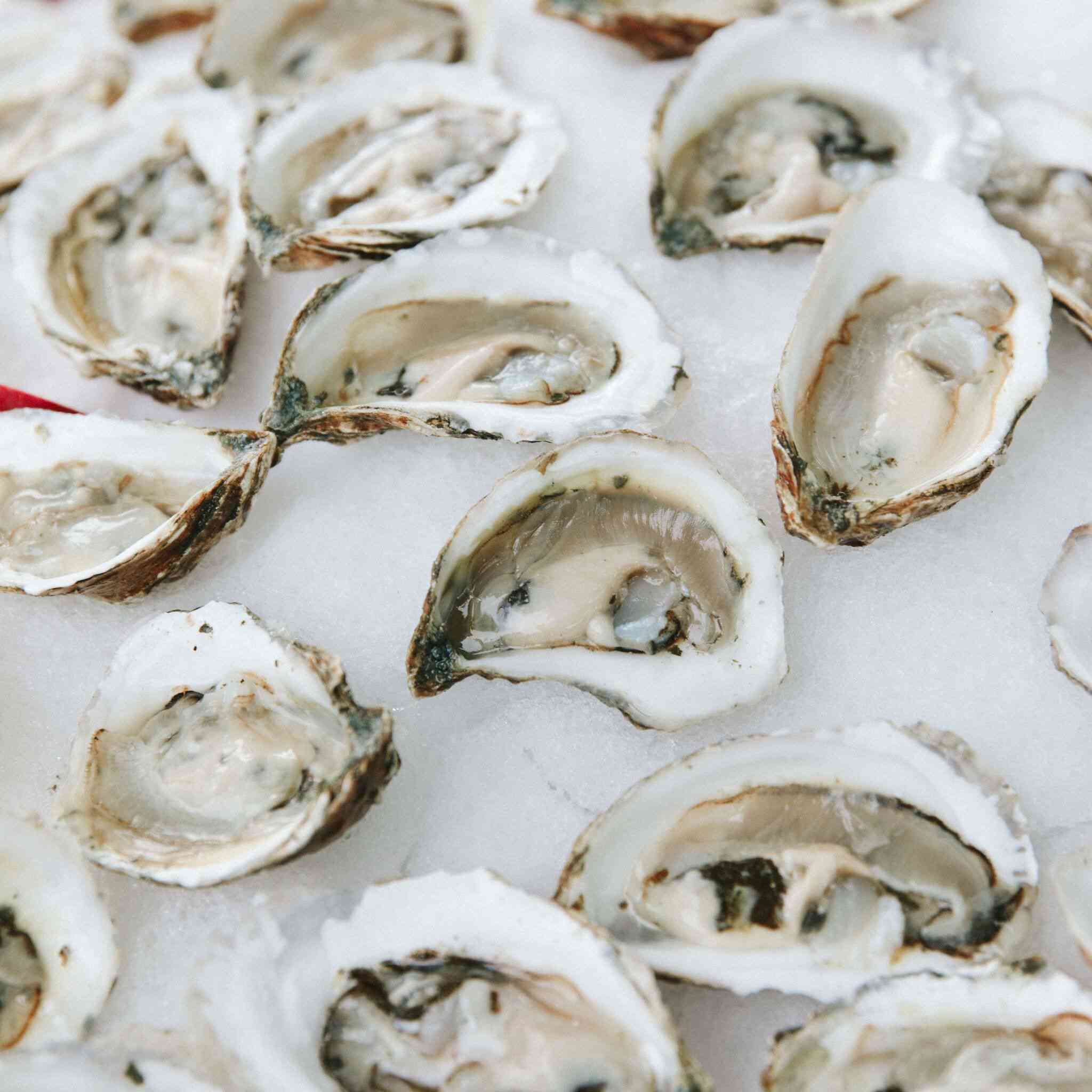 半壳牡蛎