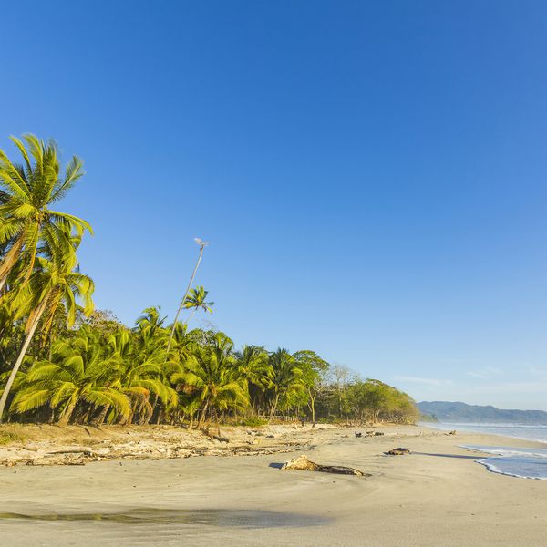 圣特蕾莎修女，哥斯达黎加