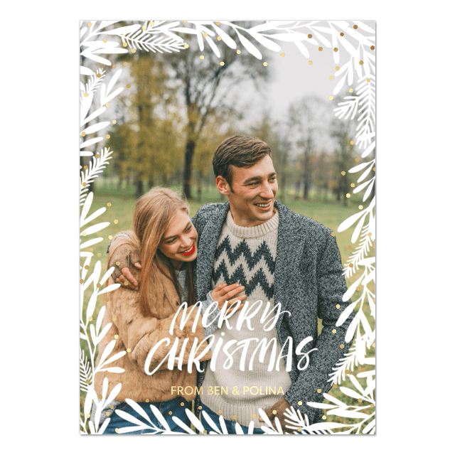 鲷鱼一套20浮雕箔卡