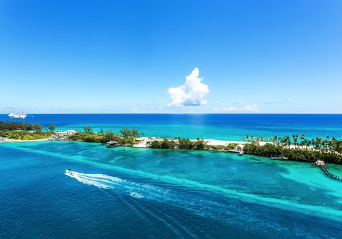 棕榈树和翡翠水在加勒比海巴哈马拿骚