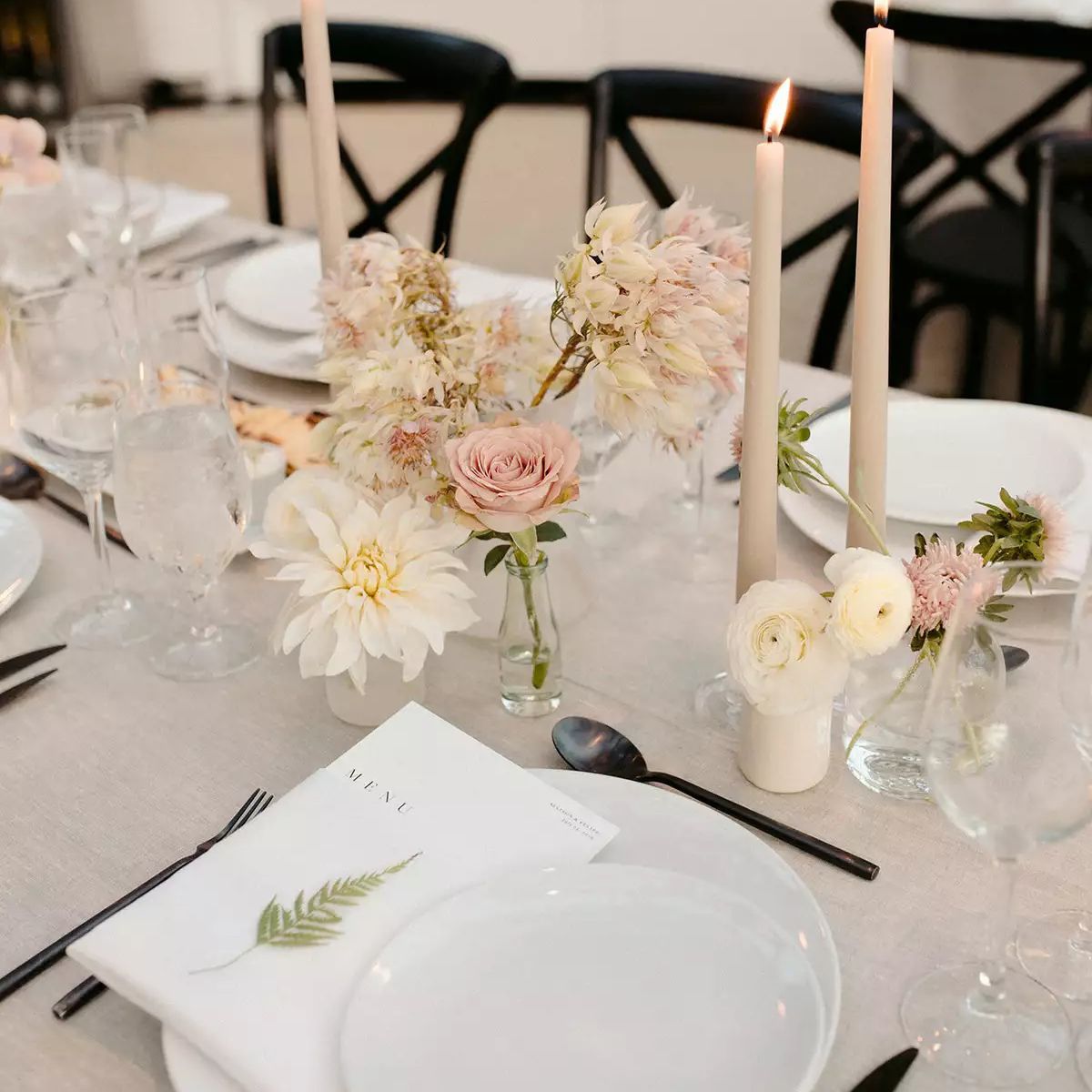 与大丽花的芽瓶中心塑料