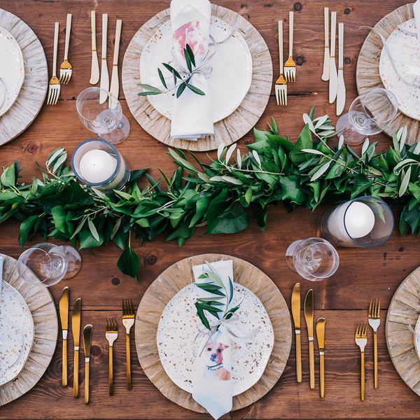 < / p > < p >狗餐巾纸