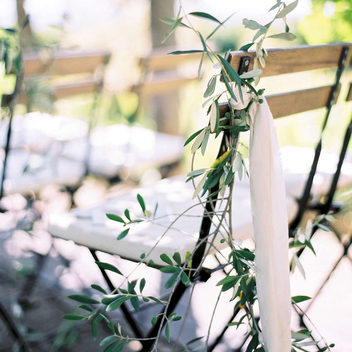 在椅子的绿色植物在仪式