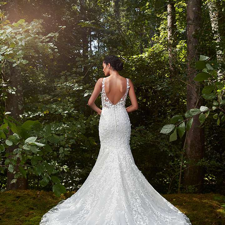 安妮驳船魔咒束缚