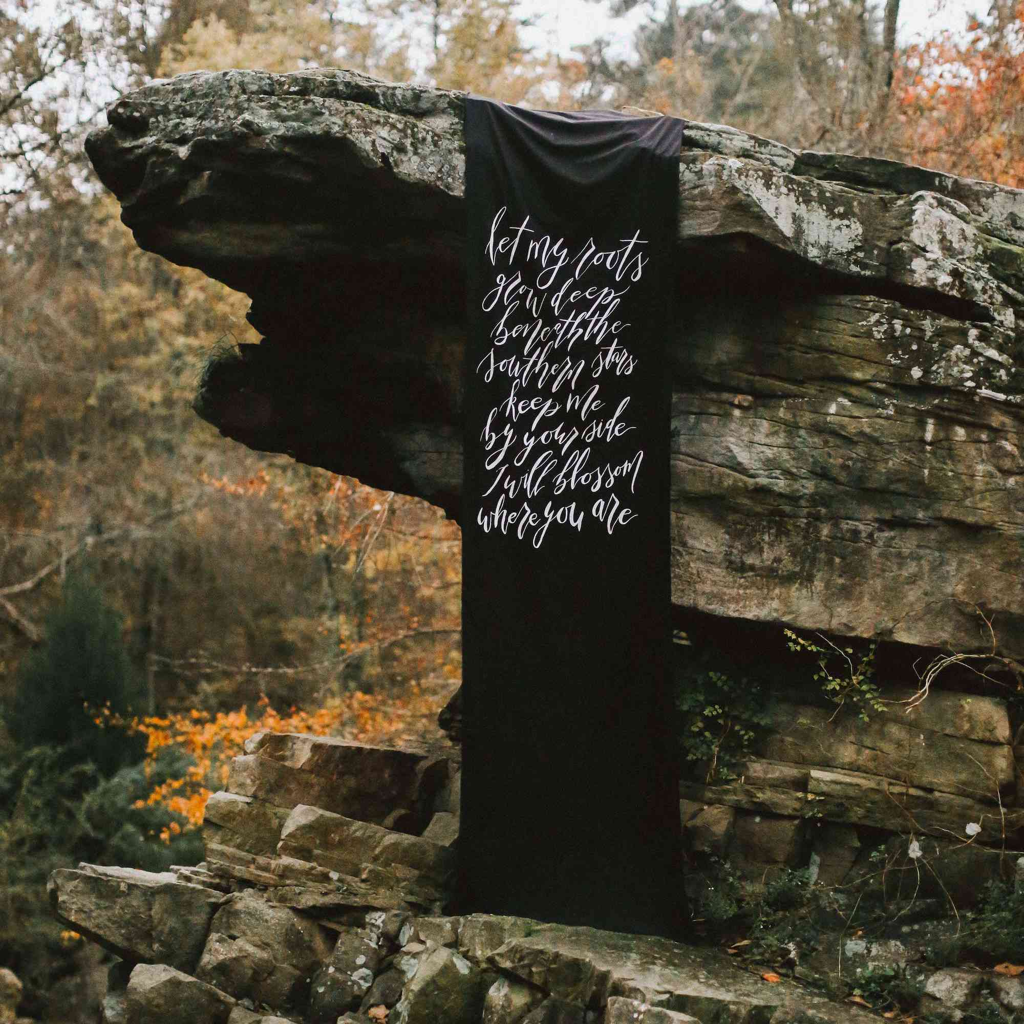 垂悬从在秋天树前面的岩层的黑婚礼横幅