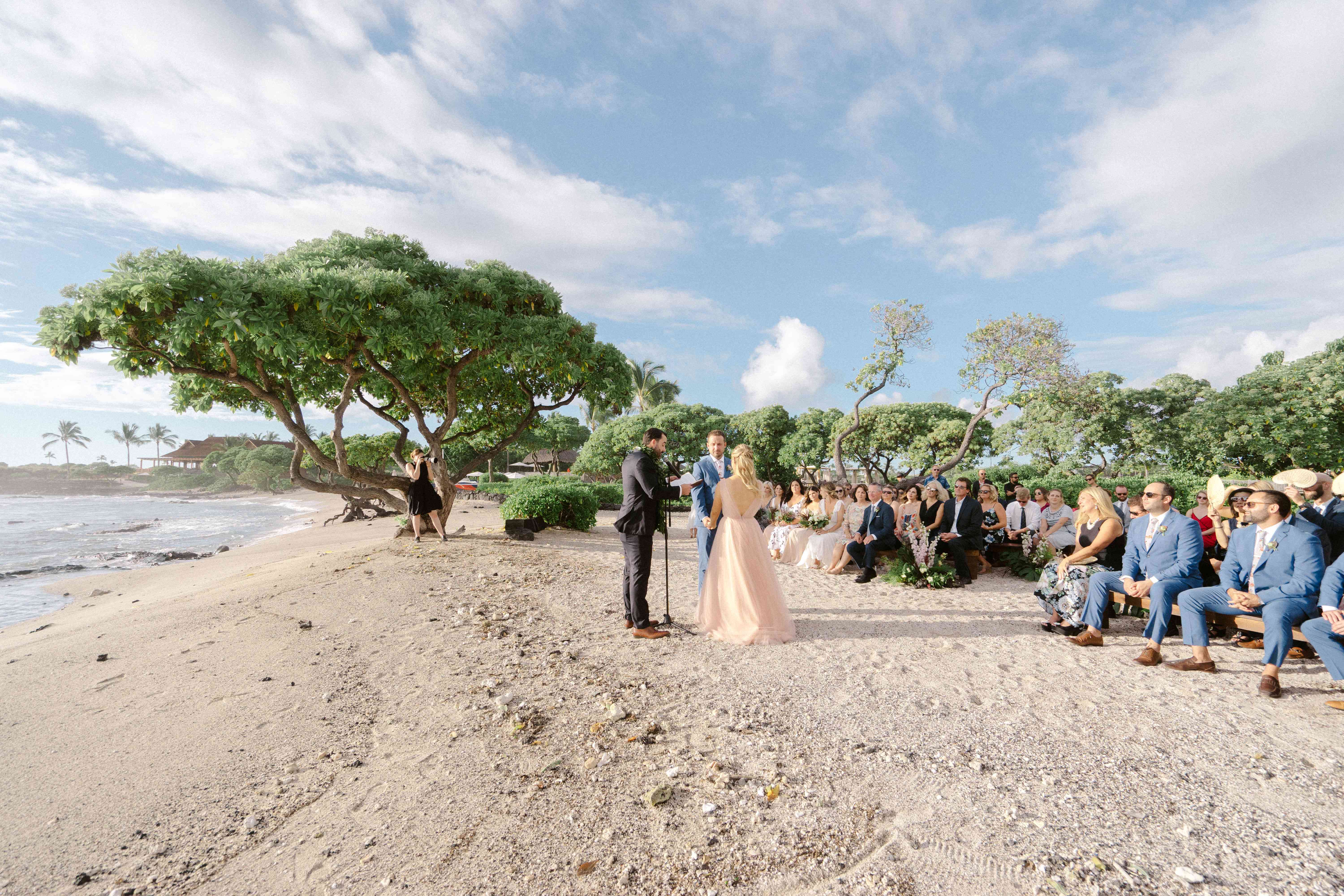 新郎新娘交换誓言