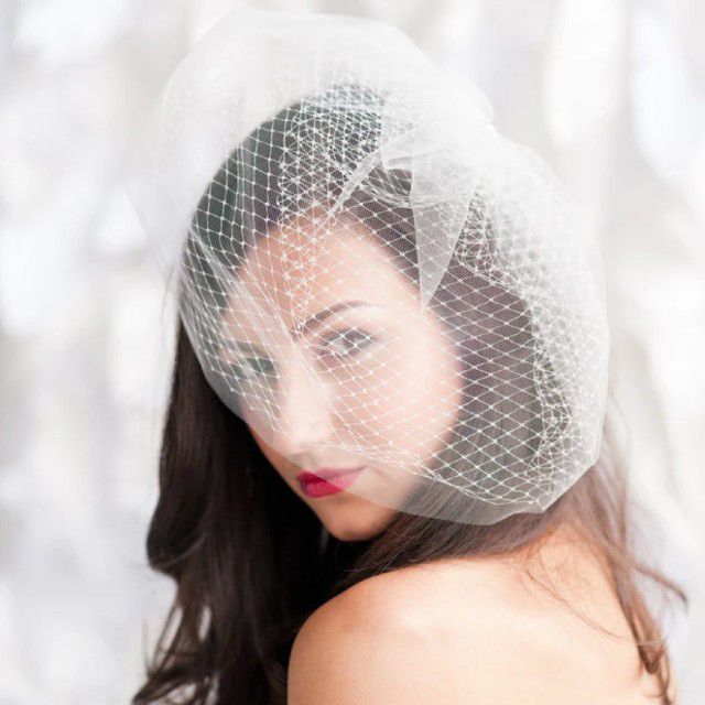 戴着薄纱和网鸟笼面纱的深色新娘