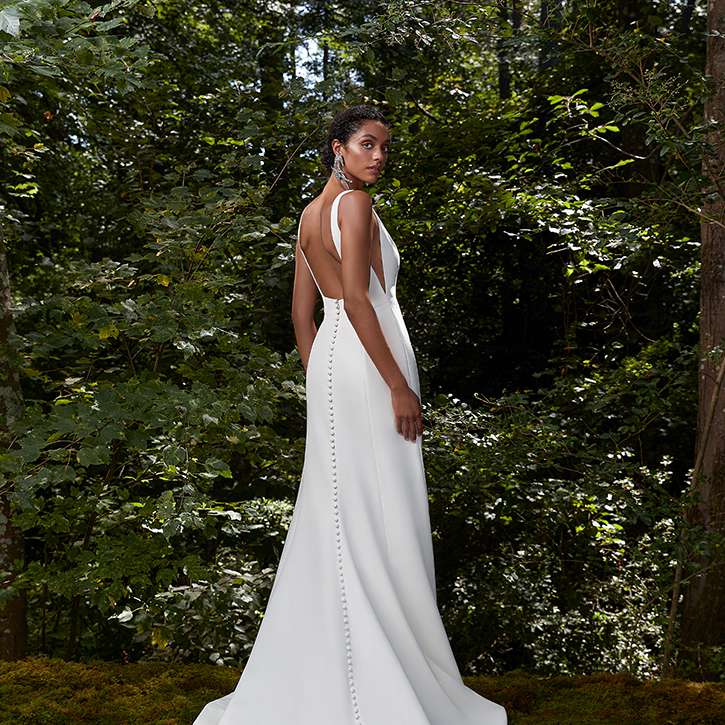 安妮驳船的愿望