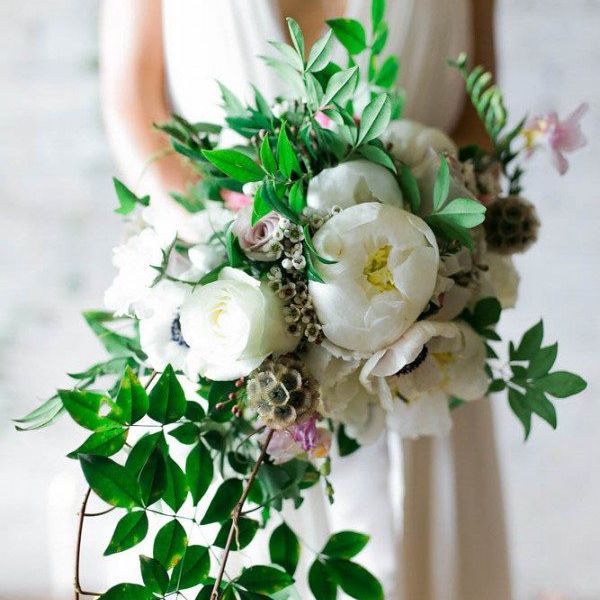 白色牡丹花束与绿色植物