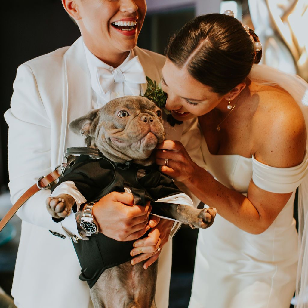 新娘和他们的狗奥托