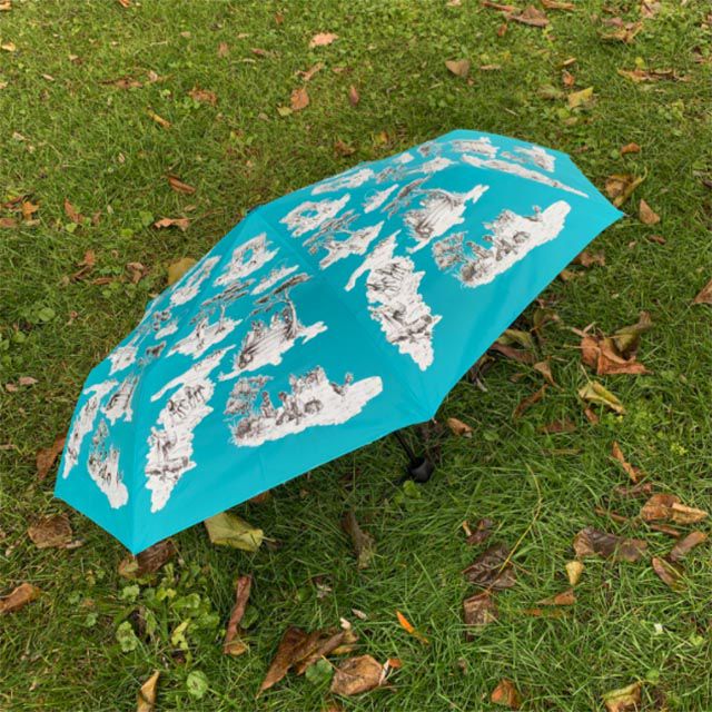 希拉·布里奇斯伞