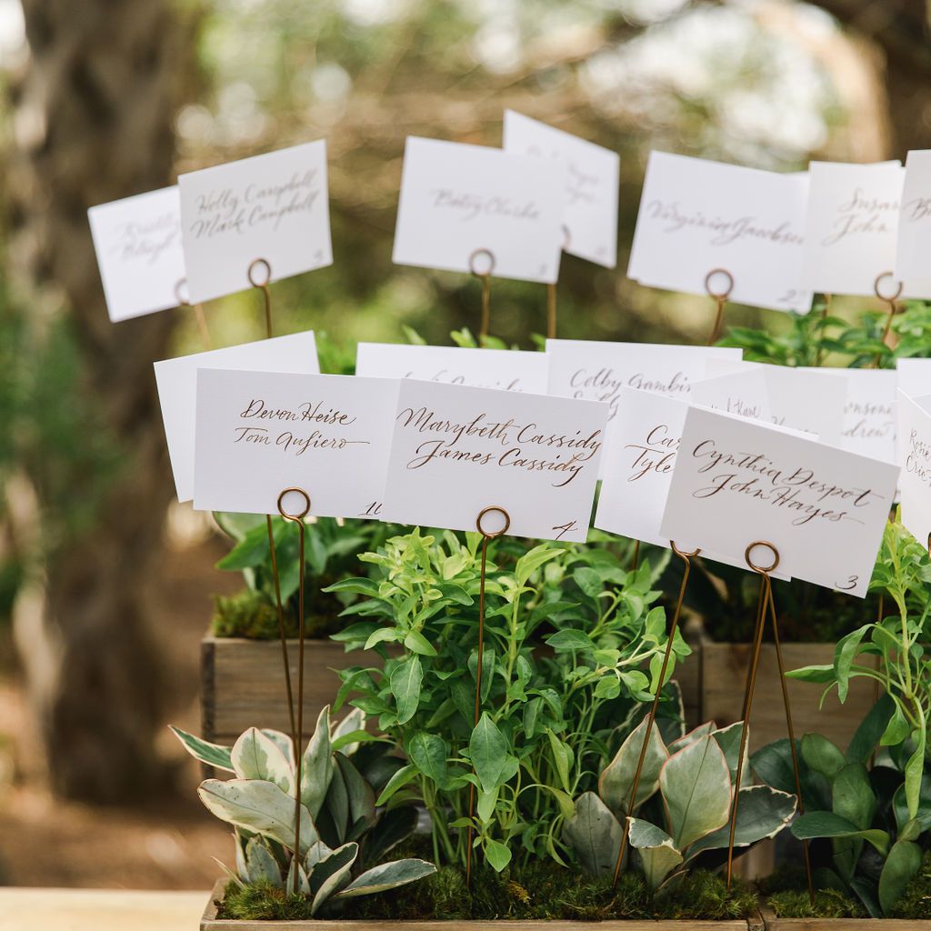 永恒的南方婚礼，种植伴游卡