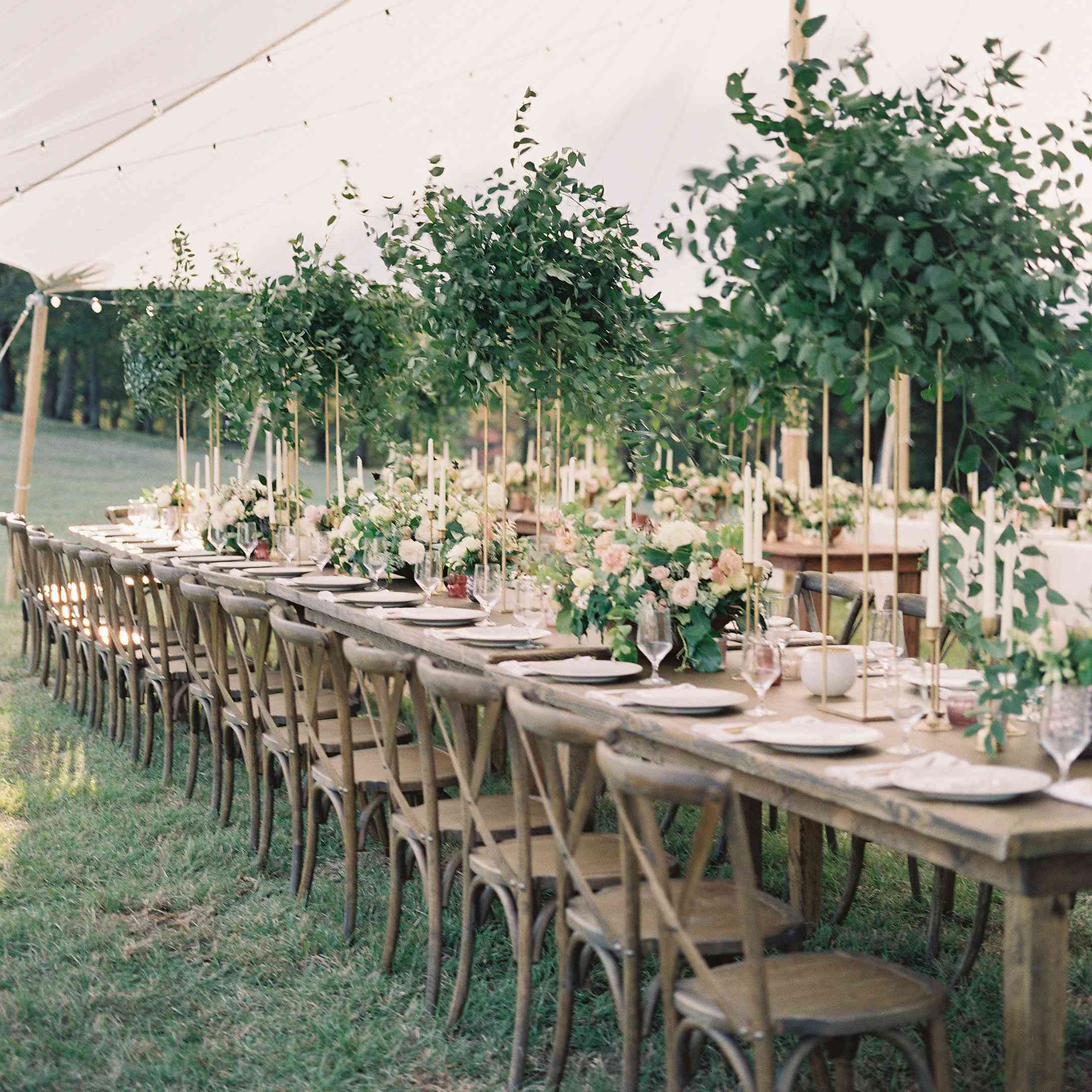 <P>婚礼接待tablescape </ P>搜索结果