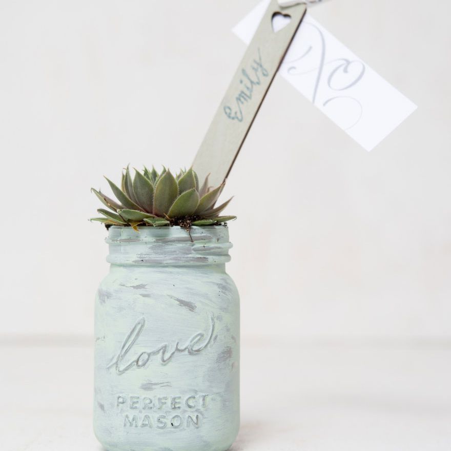 罐子里的多肉植物