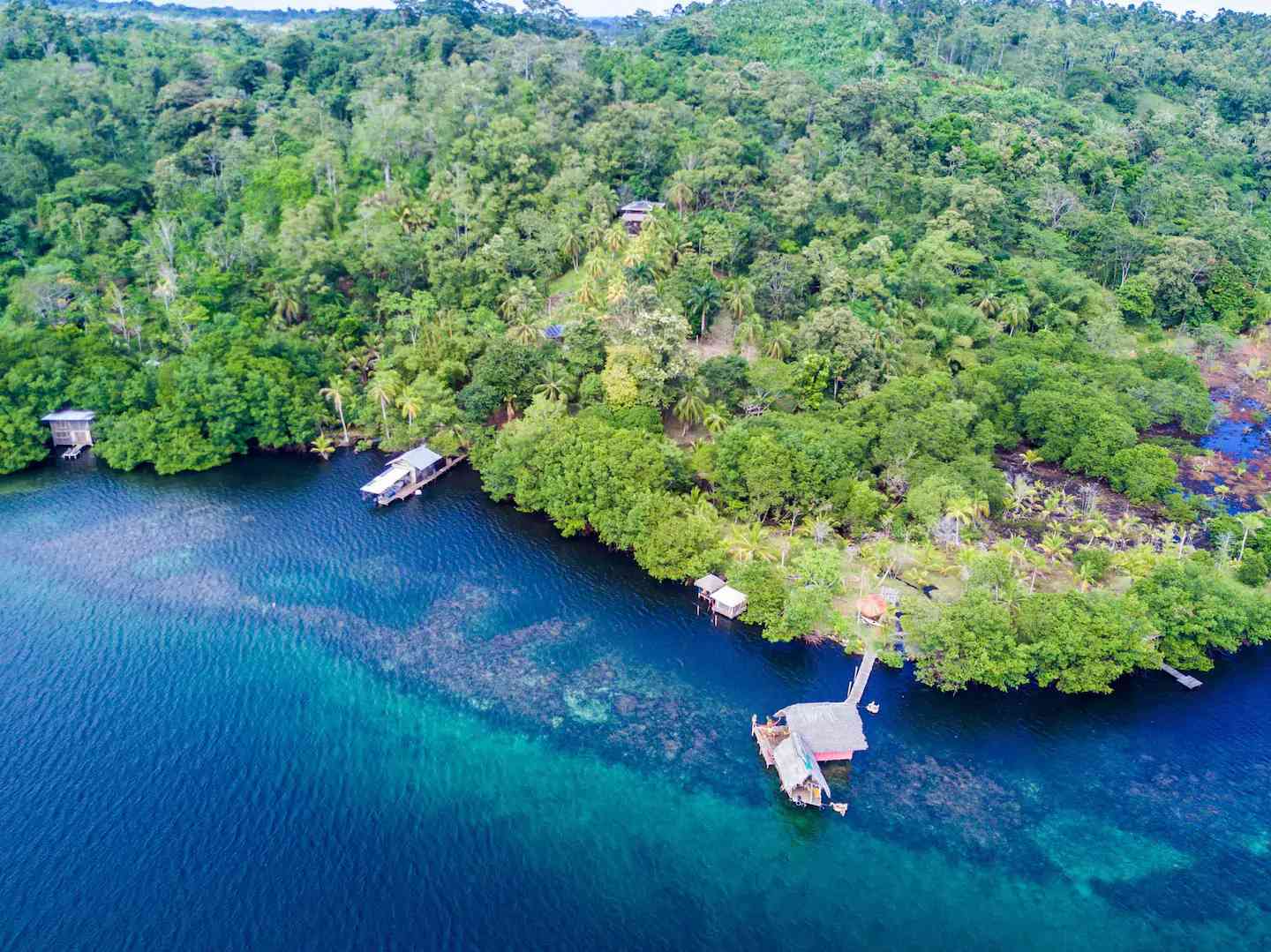 巴拿马丛林撤退