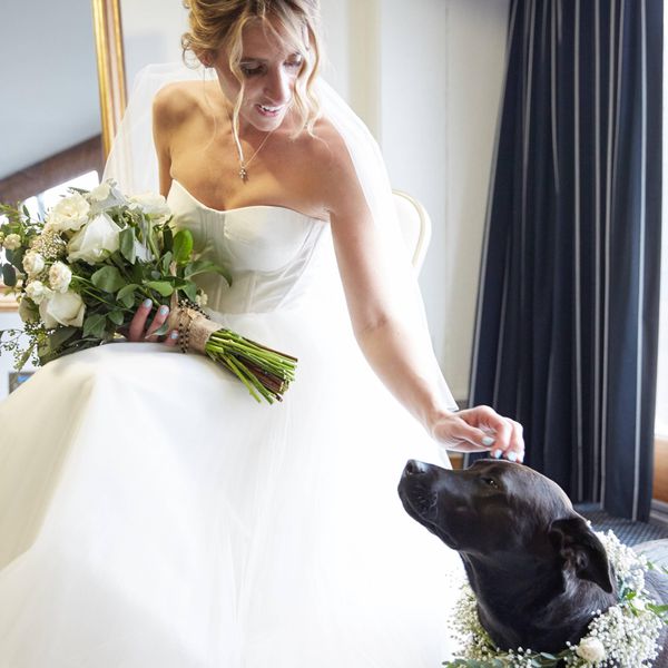 <P>新娘和狗与花领</ P>