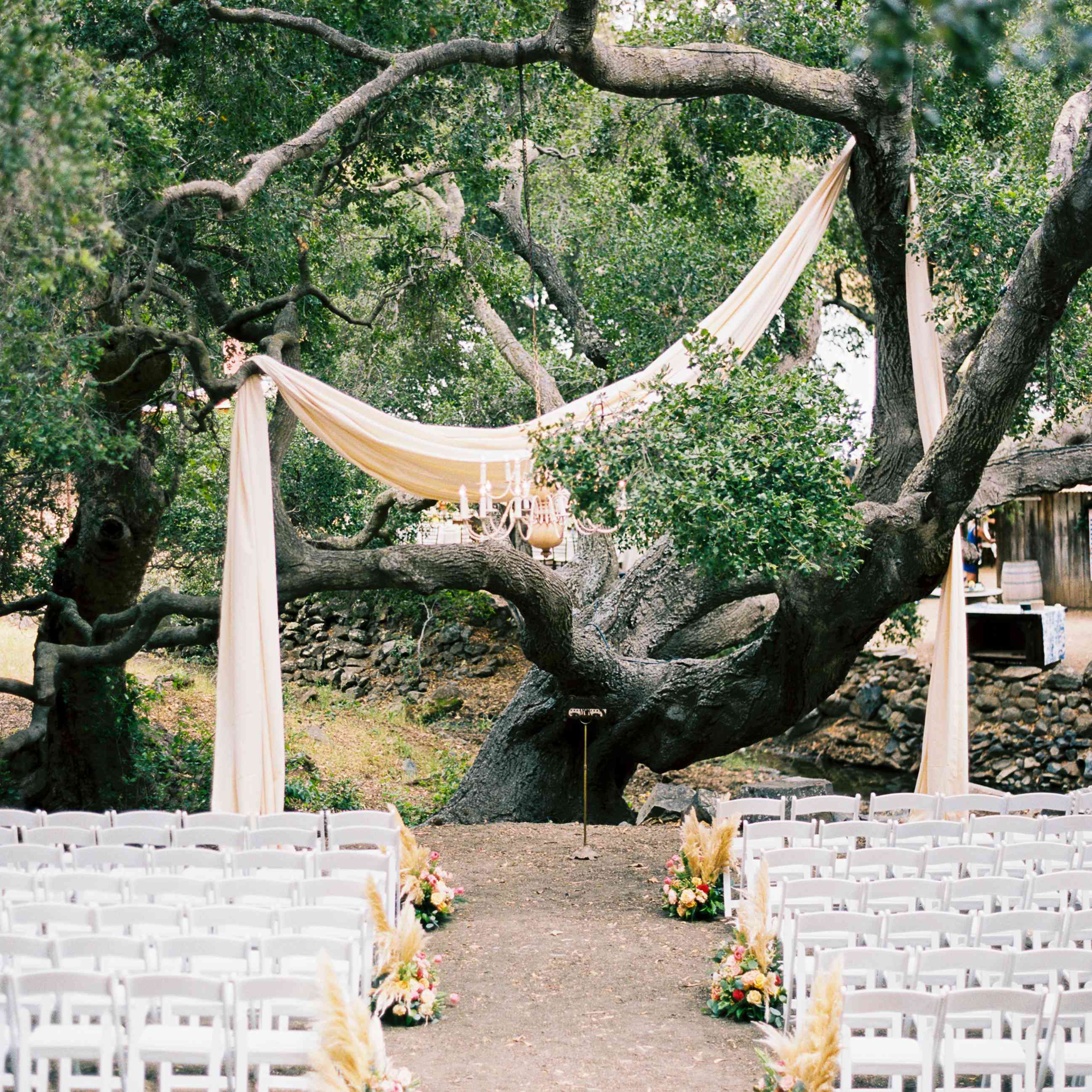在大树前面的婚礼