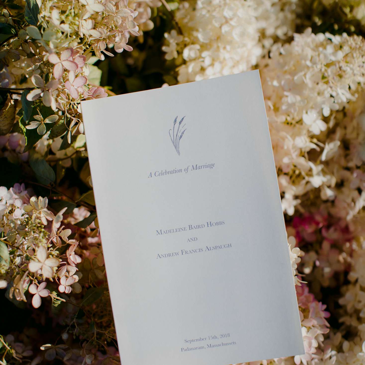 在家质朴马萨诸塞州举行婚礼，仪式程序对花