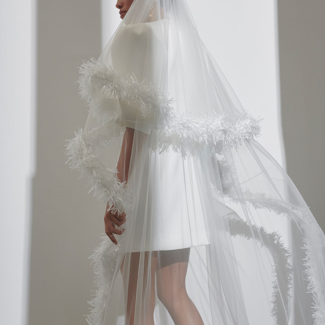 蓬松的连衣裙配荆棘面纱